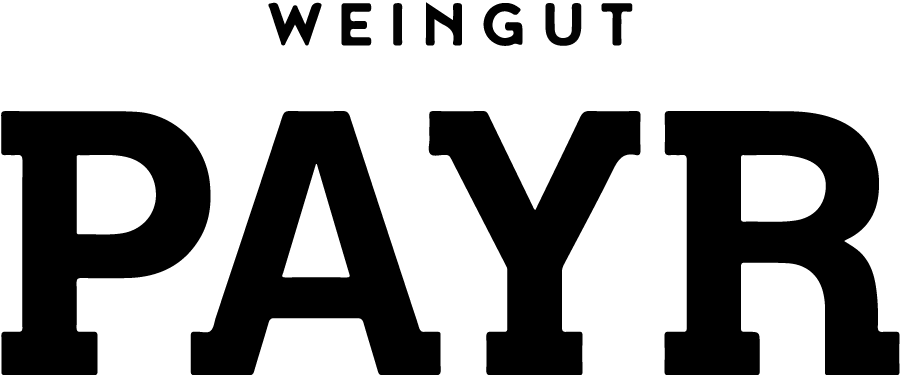 Payr_Logo