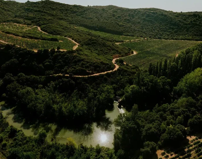 Arinzano_01