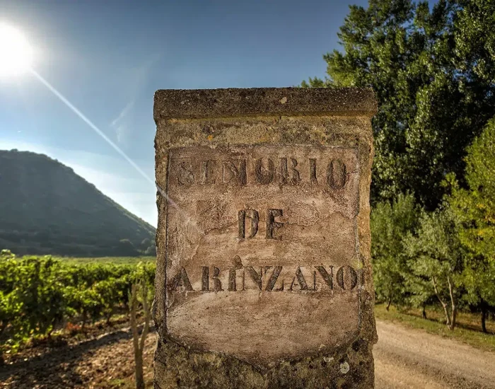 Arinzano_02