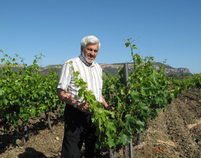 Celler Balaguer 2